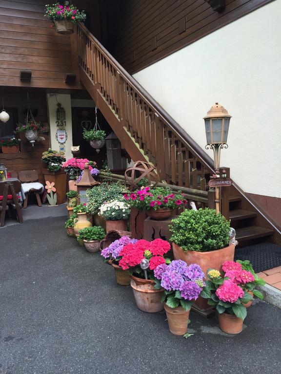 Ferienapart Bergstille 란켄펠트 외부 사진